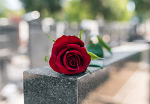Rose on top of a tombstone