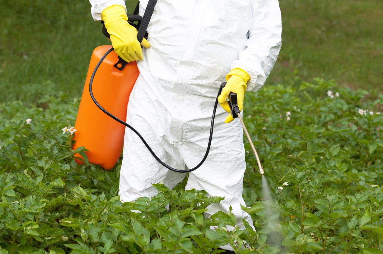 Person using herbicide on plants