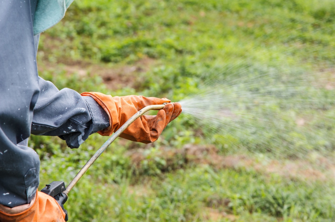 Person using herbicide