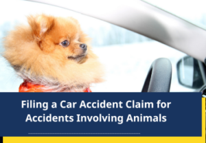 Filing a Car Accident Claim for Accidents Involving Animals